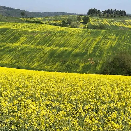 Homes In - Umbrien 40080 Semesterbostad Perugia